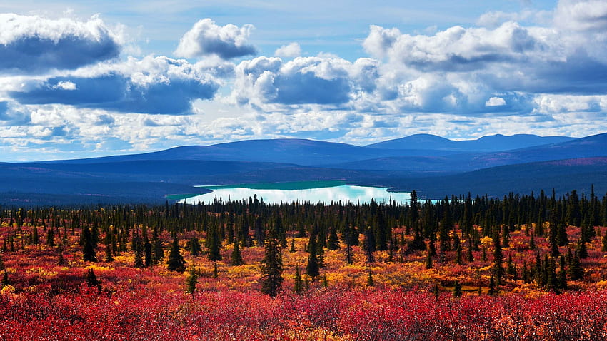 Denali Wilderness - Denali National Park, Alaska, clouds, trees, autumn, landscape, sky, mountains, lake, usa HD wallpaper