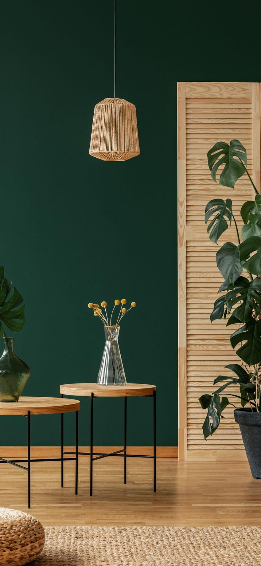 TOI_105208, green, interior design HD phone wallpaper