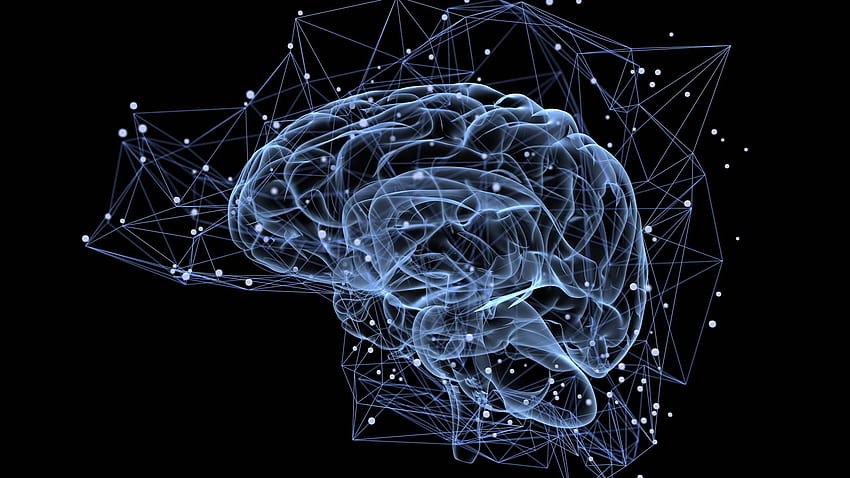 Examen du cerveau humain, cerveau d'intelligence artificielle Fond d'écran HD