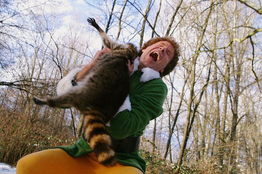 Reasons Why We Should Act More Like Buddy, Elf Movie HD wallpaper