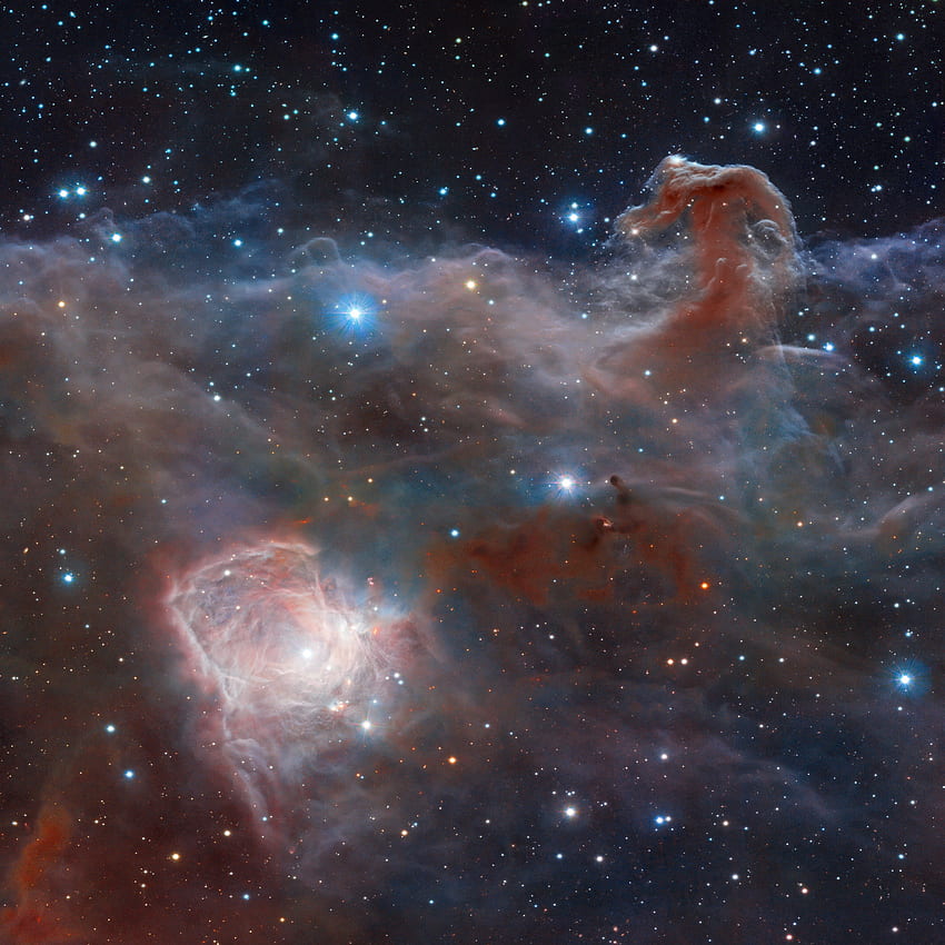 Horsehead Nebula, constellation, nebula, horsehead, space, stars, orion HD wallpaper