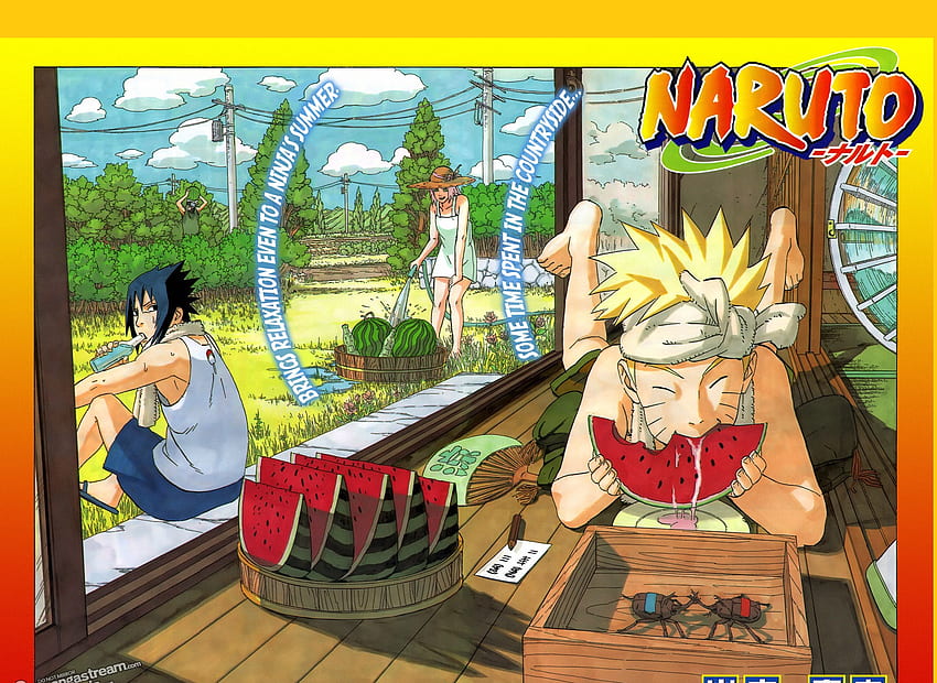 SOMMERZEIT TEAM 7, Sasuke, Sommerzeit, Kakashi, Sakura, Naruto, Team 7, Shippuden HD-Hintergrundbild