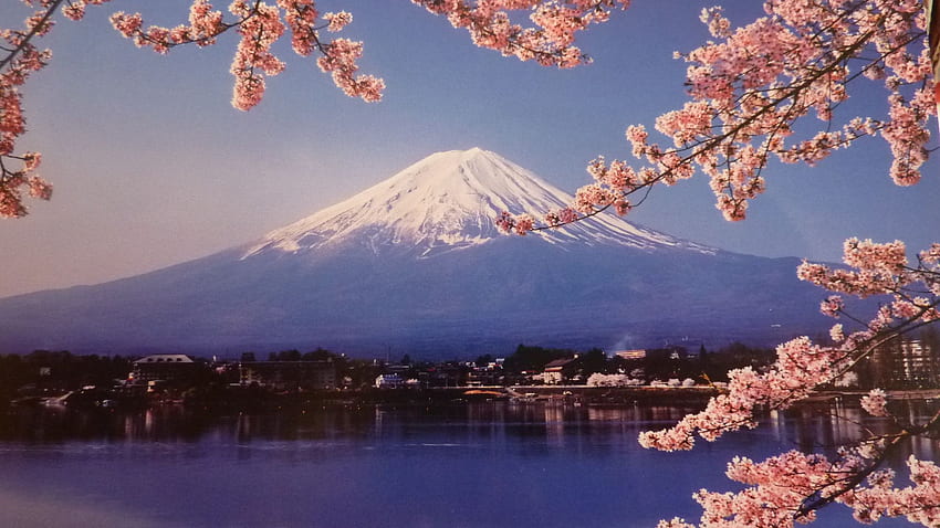 Monte Fuji, flor de cerejeira, lago Kawaguchi. Flor de cerejeira do Japão, Monte fuji, Flor de cerejeira, Flor de cerejeira do Monte Fuji papel de parede HD