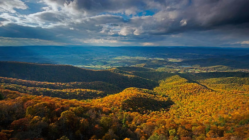 버지니아의 블루리지 산맥에 있는 셰넌도어 국립공원, 블루리지 산맥 가을 HD 월페이퍼