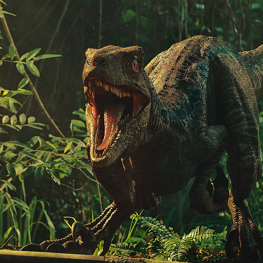 Jurassic World Yıkılmış Krallık Dinozorları iPad Pro Retina Ekran , Filmler , ve Arka Plan - Den HD telefon duvar kağıdı