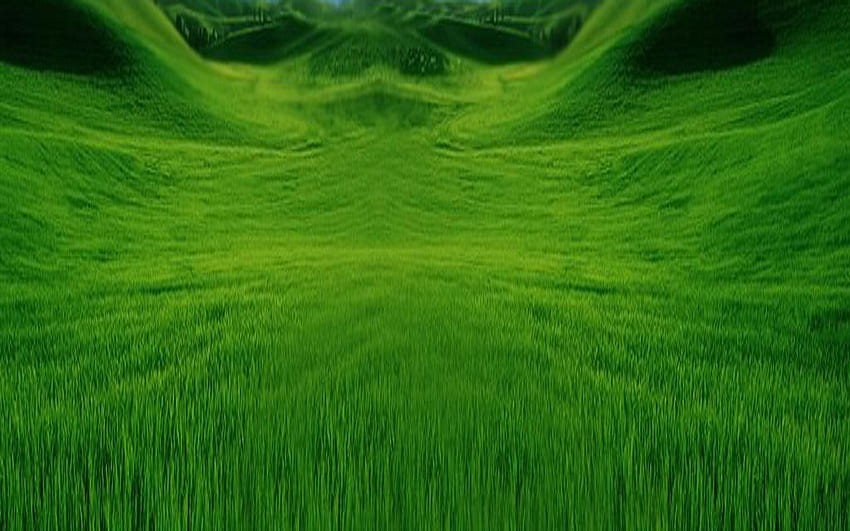 зелено мехле, трева, гора, поле, зелено HD тапет