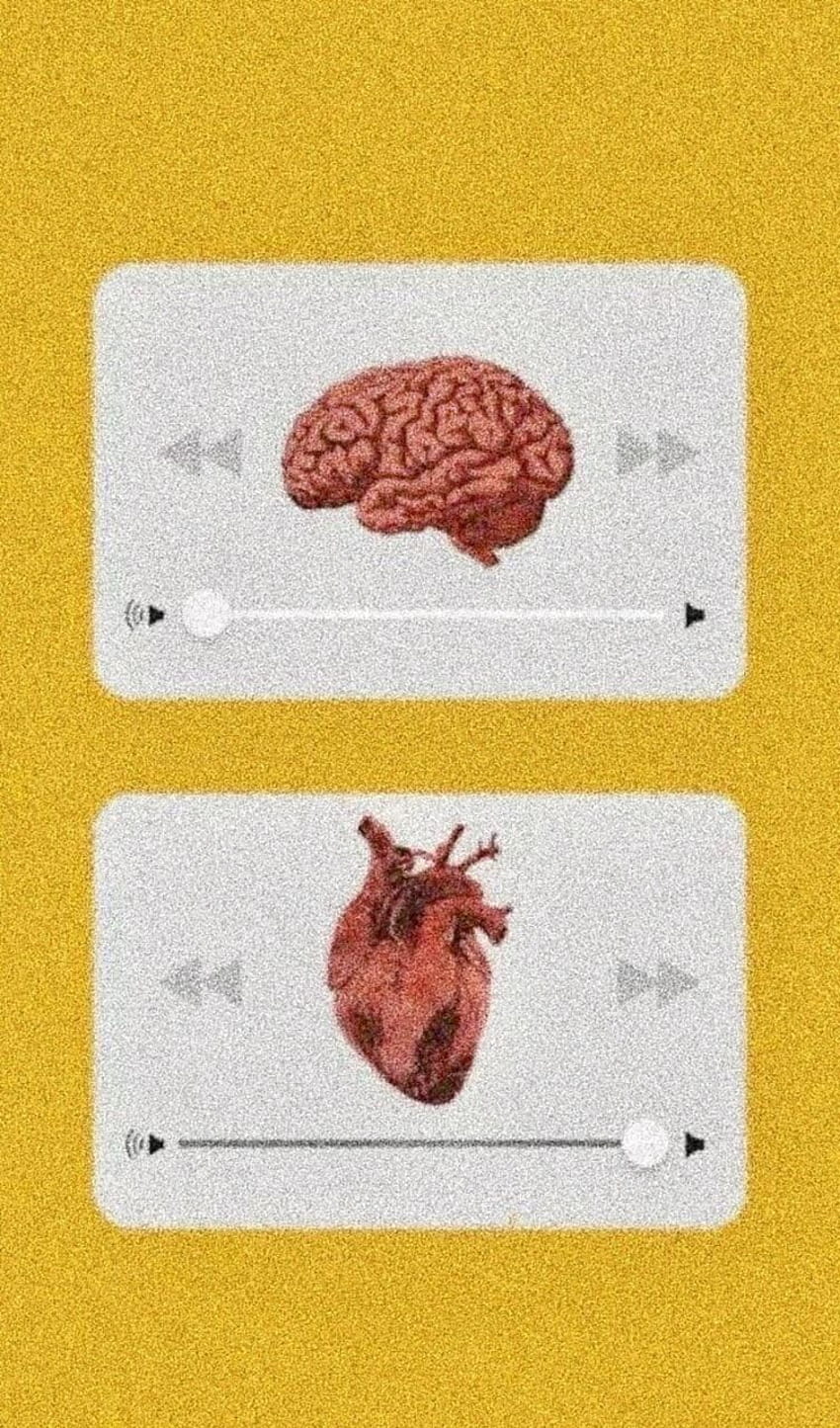 Heart And Brain Heart And Brain Teahub io HD Phone Wallpaper 