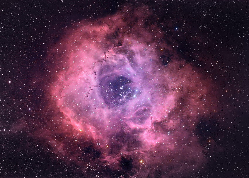 Nebula Roset dan Latar Belakang Wallpaper HD