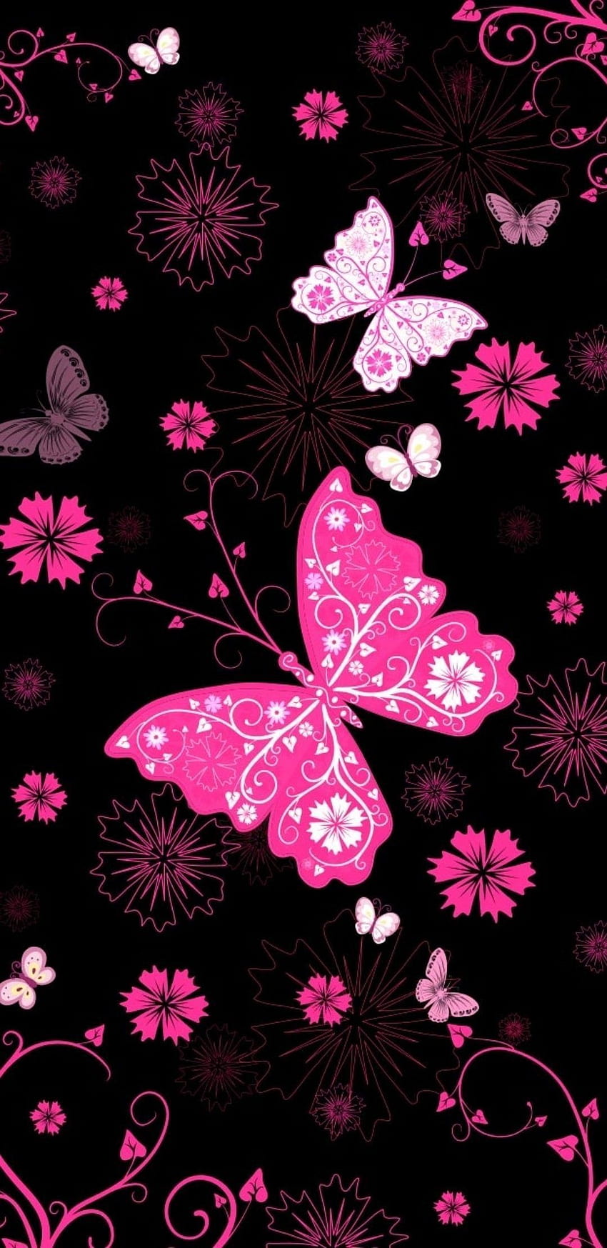 Negro y rosa. mariposas Mariposa, lindo, negro y rosa femenino fondo de pantalla del teléfono