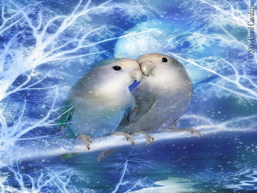 Winter LoveBirds, birds, abstract, fantasy, animals, nature HD wallpaper