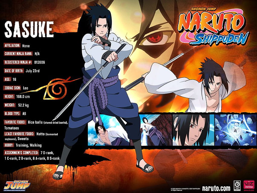 Profil Naruto Shippuden Karakterleri .teahub.io HD duvar kağıdı
