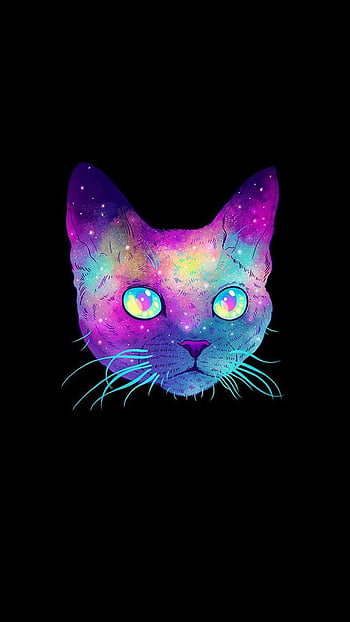 galaxy cat background tumblr