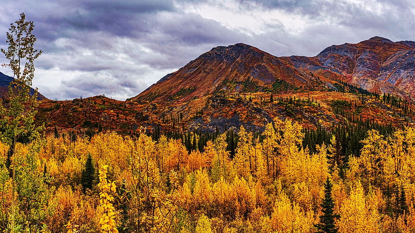 Autumn at Banff National Park, Alberta, hills, fall, clouds, landscape, colors, trees, sky, canada HD wallpaper