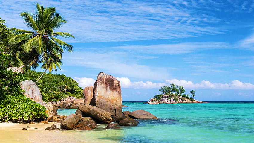 Seychelles Beach, sky, rocks, palm trees, island, sea, clouds HD wallpaper