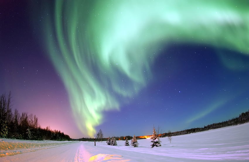 แสงเหนือ ฤดูหนาว ธรรมชาติ หิมะ ท้องฟ้าเต็มไปด้วยดวงดาว Aurora Borealis ออโรรา วอลล์เปเปอร์ HD