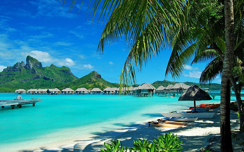 Natur, Palmen, Ufer, Ufer, Erholung, Ruhe, Lagune, Hawaii, Urlaubsort, blaues Wasser HD-Hintergrundbild