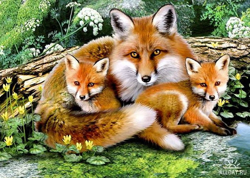 By Howard Robinson, wildlife, painting, art, howard robinson, fox HD wallpaper
