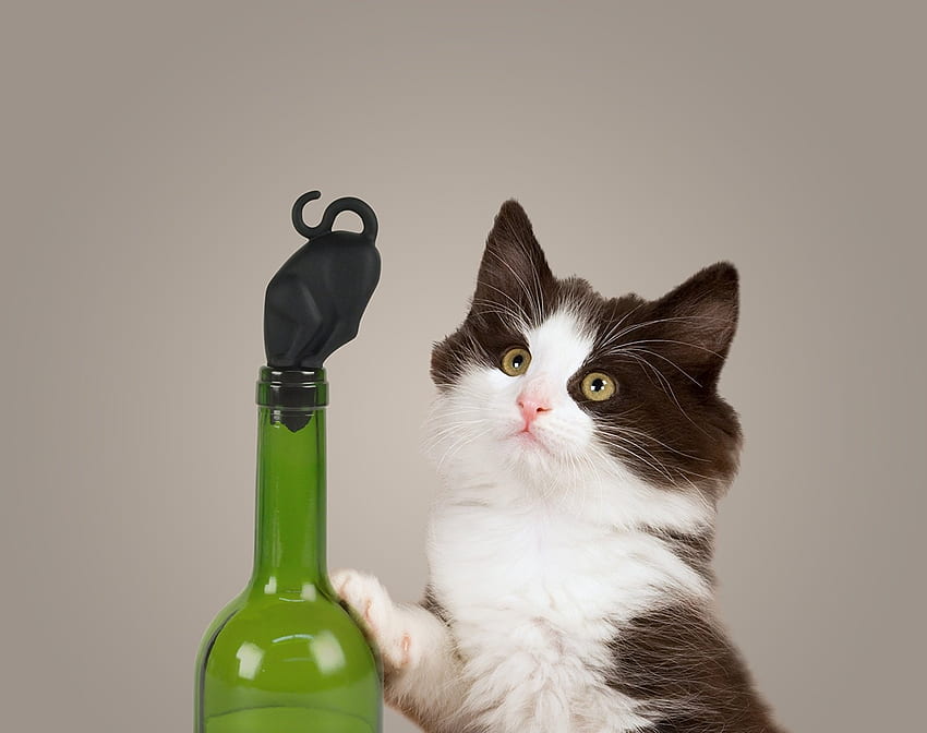 Gotcha'!, kitten, situation, cat, paper, bottle, pisica, origami, creative, mouse, green, glass, funny HD wallpaper