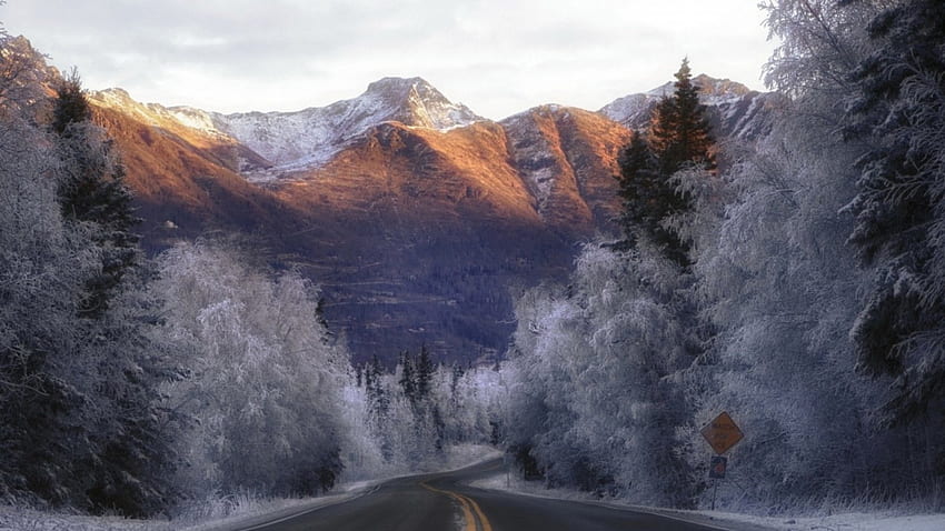 магистрала към планините в мразовита сутрин, скреж, сутрин, планини, магистрала, гора HD тапет
