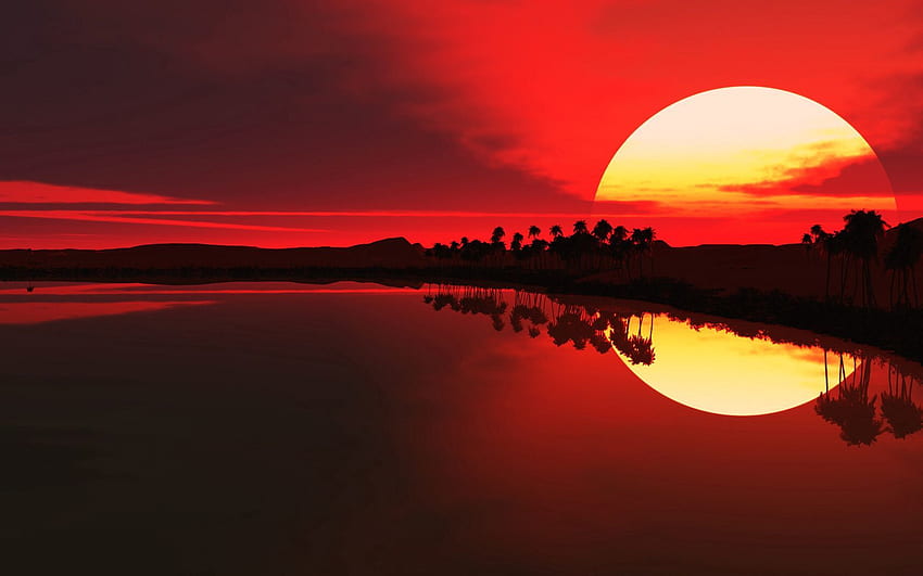 Nature, Sunset, Sun, Palms, Reflection, Outlines, Evening HD wallpaper