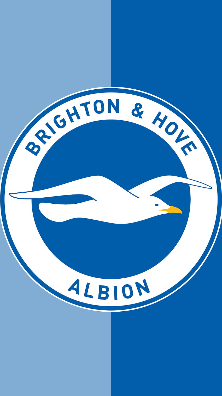 Brighton & Hove Albion, sports, football, pl HD phone wallpaper