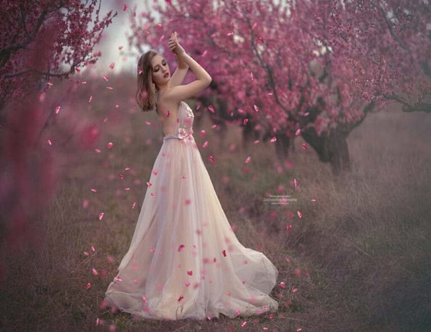ღ, Flowers, Dress, Spring, Cherry blossom, Gown HD wallpaper | Pxfuel