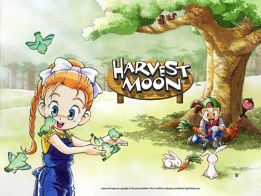 Harvest Moon HD wallpaper