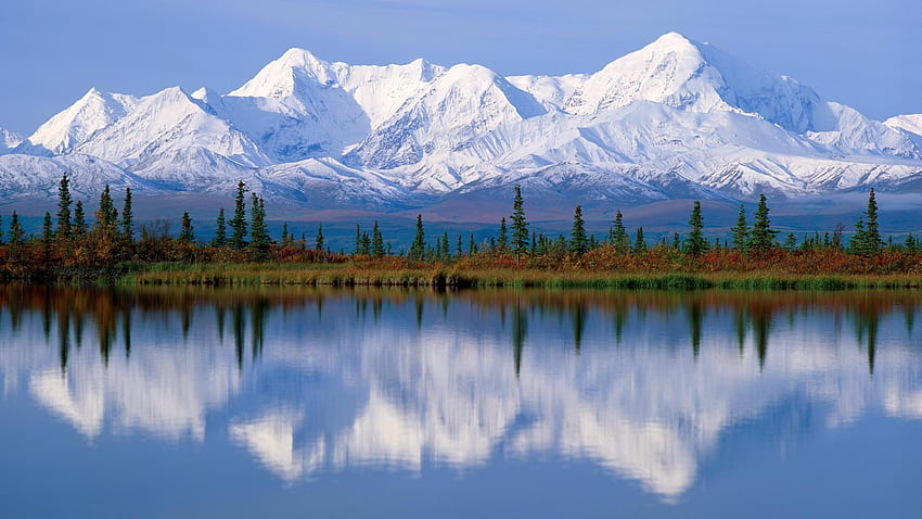 Alaska . Alaska Background . Cool . Beautiful nature, Scenery, Places to travel, Alaska Forest HD wallpaper