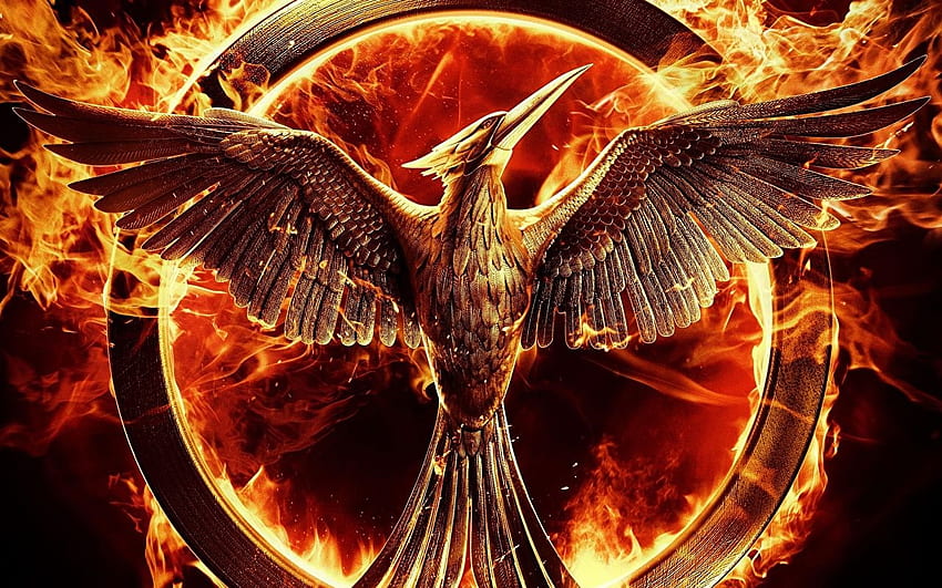 The Hunger Games Birds Wings Mockingjay Fire film, Bird Wings HD ...