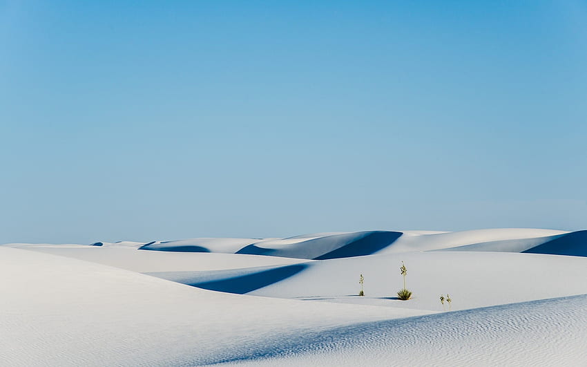 雪、冬、晴天、砂漠 高画質の壁紙