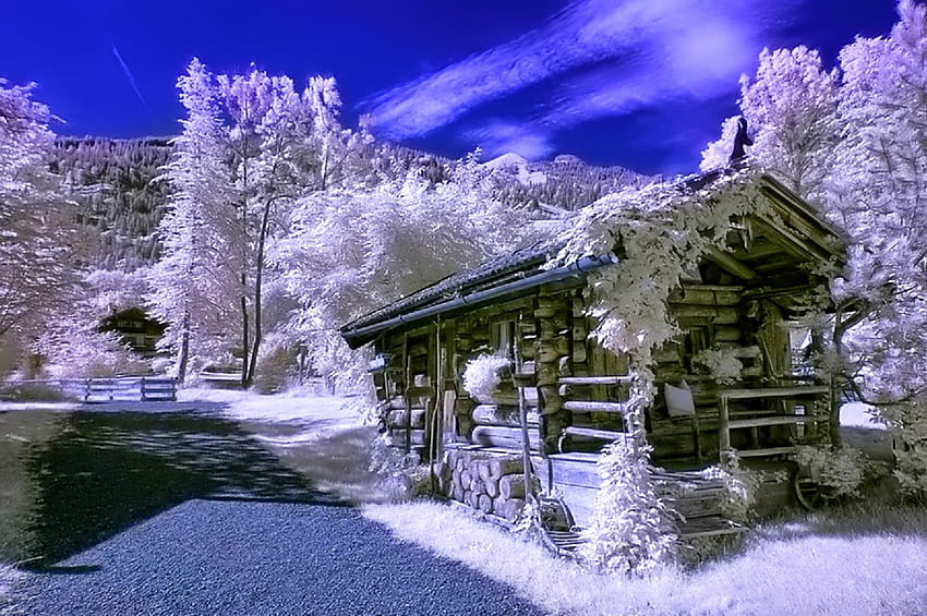 Inverno, grafia, maravilhoso, flocos de neve, floco de neve, neve, árvores, sol, frio, linda, árvore, natureza, céu, adorável, esplendor, gelo papel de parede HD