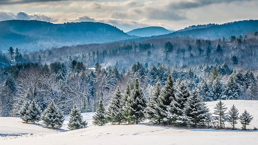 UMass Geosciences is at NEGSA this week!. Department of Geosciences, Vermont in Winter HD wallpaper
