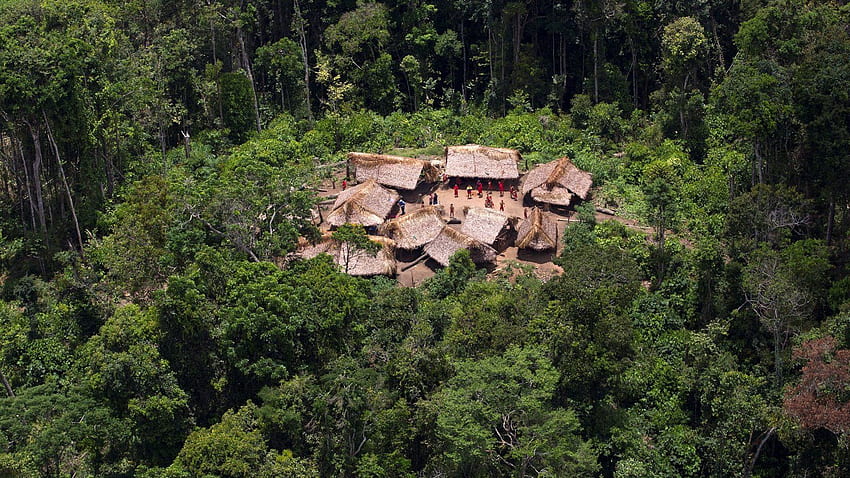 Opinione. Covid 19: lezioni dagli yanomami in Brasile, foresta pluviale venezuelana Sfondo HD