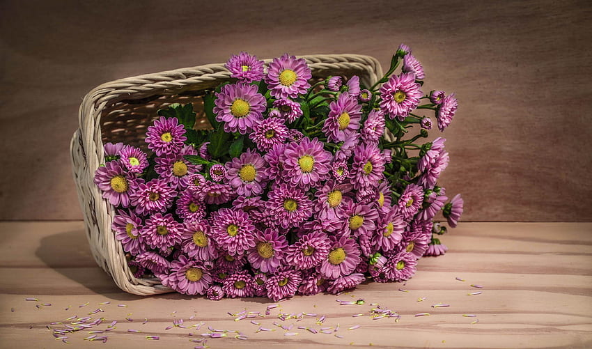 Flowers, Petals, Basket HD wallpaper