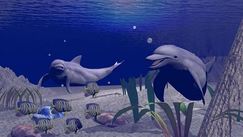 Dolphins, animal, fish, swimm, dolphin, ocean HD wallpaper
