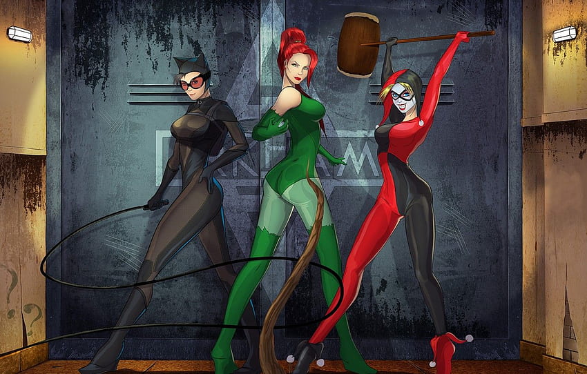 Batman, dc comics, catwoman, poison ivy, harley quinn, Gotham City Sirens  for , section фантастика HD wallpaper | Pxfuel