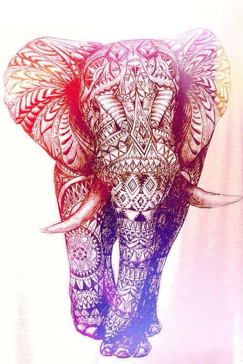 Cute Elephant - Awesome , Aesthetic Elephant HD phone wallpaper