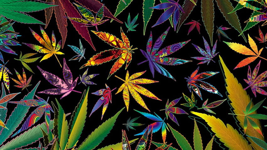 trippy stoner types Trippy Multi Pot Leaves for your weed [] for your , Mobile & Tablet. Explore Stoner Weed. Trippy Stoner , Stoner Days, Stoner Aesthetic HD wallpaper