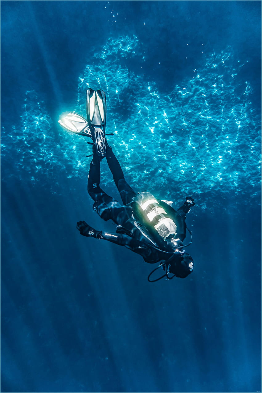 8, Scuba Diving Terbaik · 8% · - Menyelam, Penyelam Laut Dalam wallpaper ponsel HD