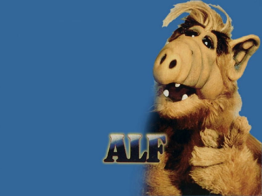 Alf, Serie, Televisión, Película fondo de pantalla