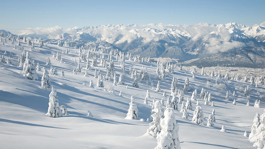 escena nevada, paisaje nevado fondo de pantalla