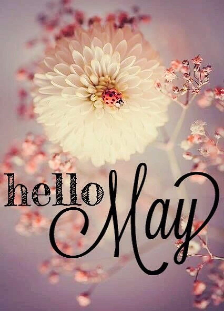 Hello May Images | Free Photos, PNG Stickers, Wallpapers & Backgrounds -  rawpixel