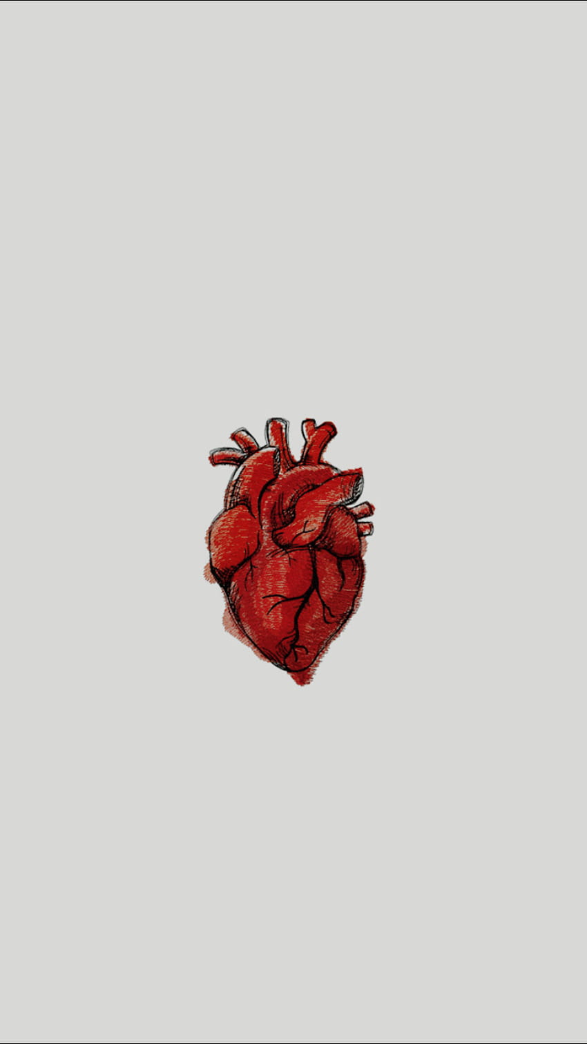 Fofinho. Medicina, Coração, Arte anatômica, Estética médica Papel de parede de celular HD