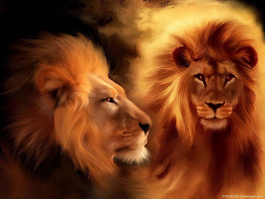 Lion Christian - Lion Animal 3D -, Lion Cross HD wallpaper