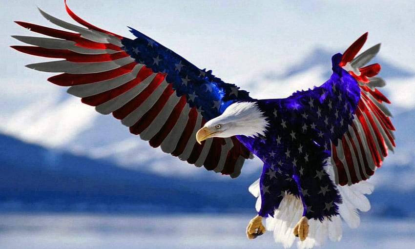 Bald Eagle American Flag For Mobile Phones Tablet, American Pride HD wallpaper