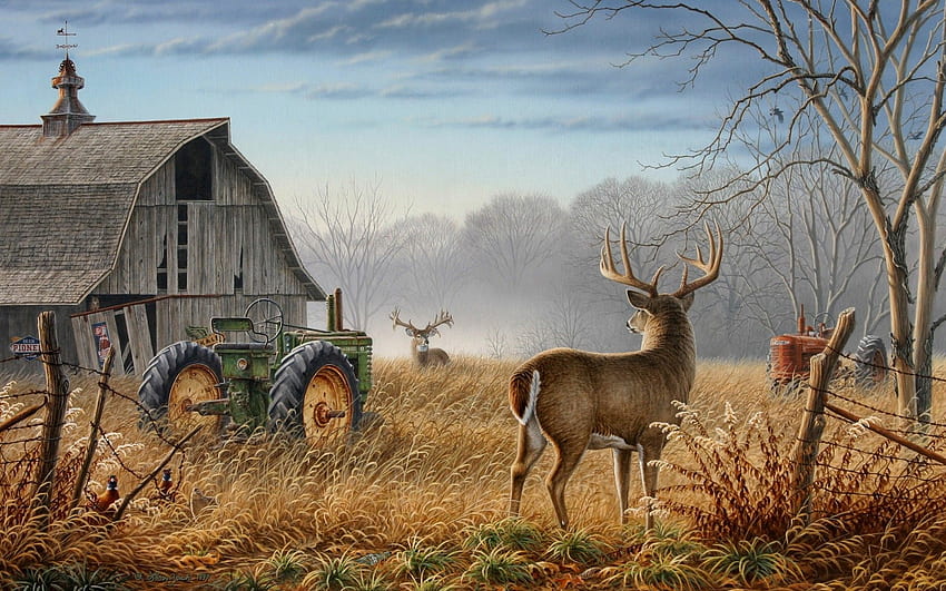 Big Buck, Cool Deer HD wallpaper