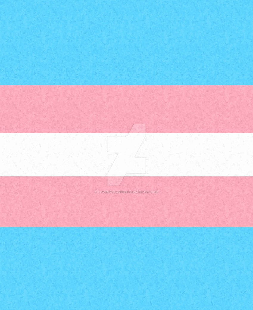Trans Flag Best Of Pride Lgbt Lesbian Bi Trans Love is Tapeta na telefon HD