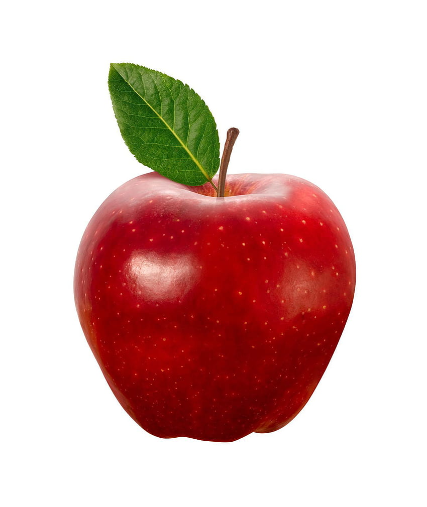 Wallpaper apple fruit autumn 4k Food 16216