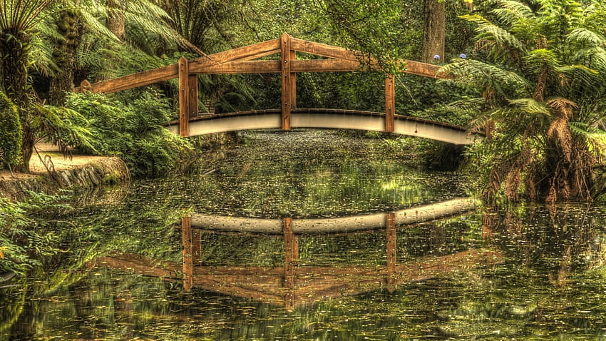 a bridge in a rain forest r, wooden, reflection, bridge, r, forest, stream HD wallpaper