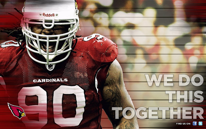 2013 Arizona Cardinals football nfl wallpaper, 1920x1200